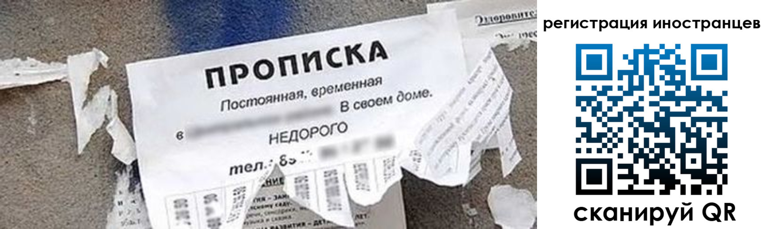 купить прописку в Мончегорске